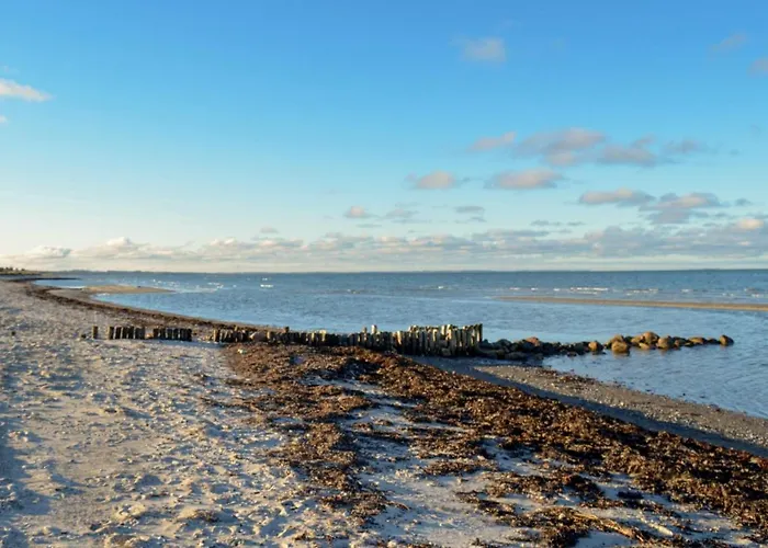 Tatil Evi Three-bedroom In